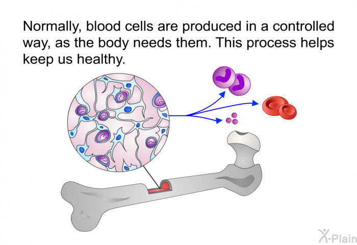 Normally, blood cells are produced in a controlled way, as the body needs them. This process helps keep us healthy.