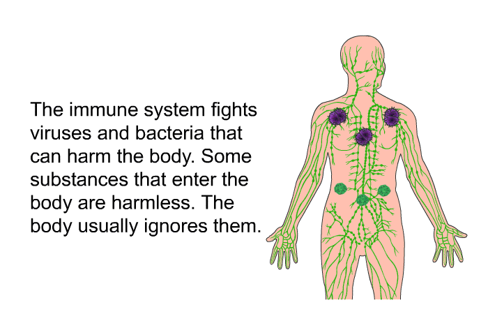 The immune system fights viruses and bacteria that can harm the body. Some substances that enter the body are harmless. The body usually ignores them.