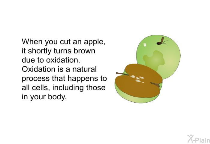When you cut an apple, it shortly turns brown due to oxidation. Oxidation is a natural process that happens to all cells, including those in your body.
