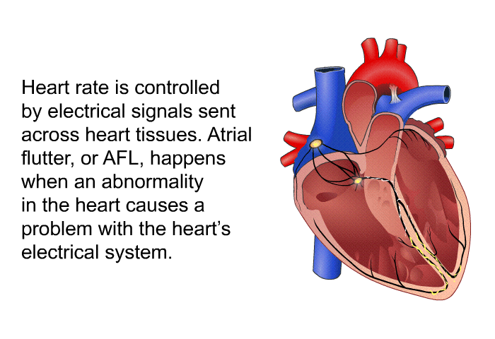 Heart rate is controlled by electrical signals sent across heart tissues. Atrial flutter, or AFL, happens when an abnormality in the heart causes a problem with the heart's electrical system.
