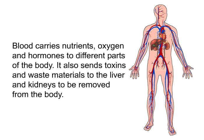 Blood carries nutrients, oxygen and hormones to different parts of the body. It also sends toxins and waste materials to the liver and kidneys to be removed from the body.