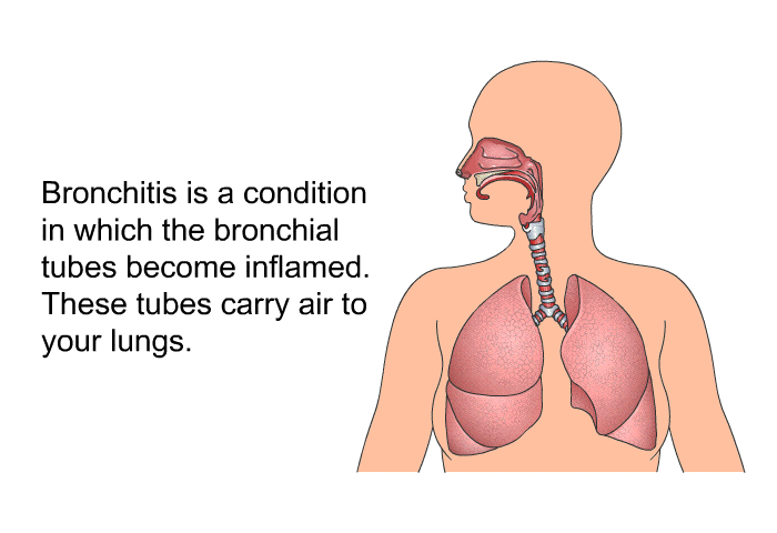 Bronchitis is a condition in which the bronchial tubes become inflamed. These tubes carry air to your lungs.