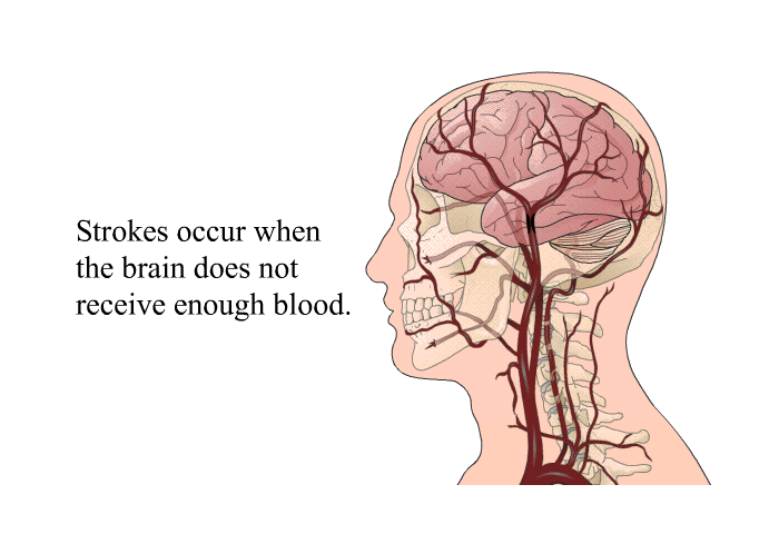 Strokes occur when the brain does not receive enough blood.