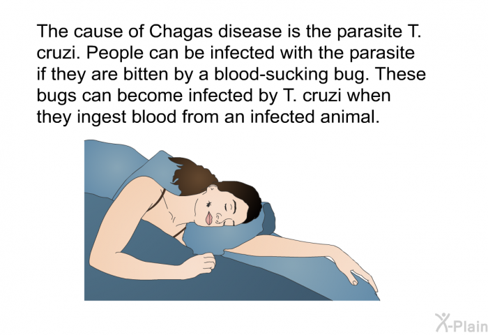 The cause of Chagas disease is the parasite T. cruzi. People can be infected with the parasite if they are bitten by a blood-sucking bug. These bugs can become infected by T. cruzi when they ingest blood from an infected animal.
