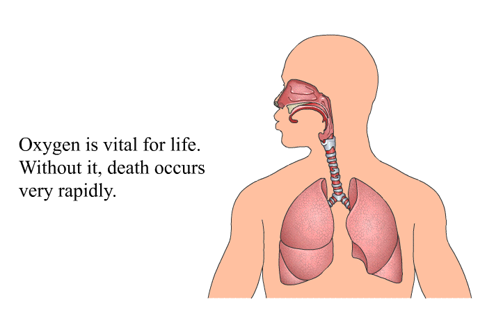 Oxygen is vital for life. Without it, death occurs very rapidly.