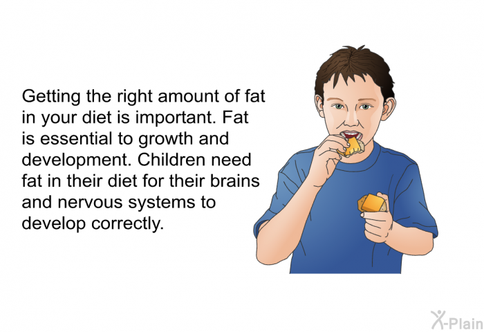 Getting the right amount of fat in your diet is important. Fat is essential to growth and development. Children need fat in their diet for their brains and nervous systems to develop correctly.