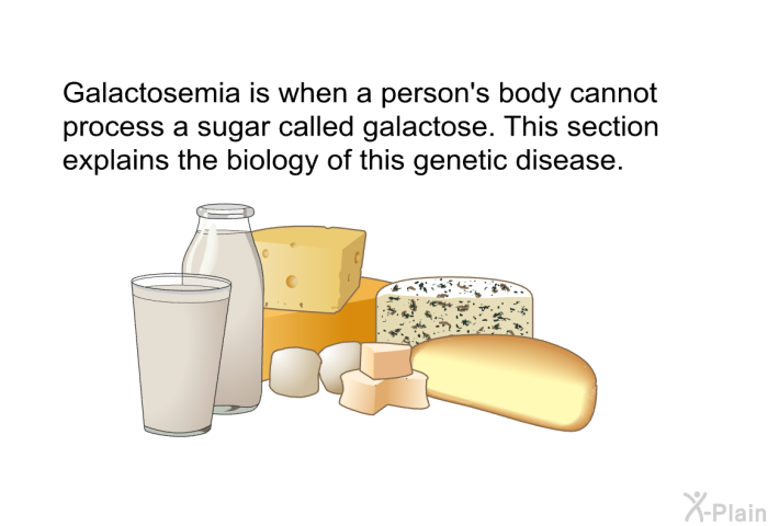 Galactosemia is when a person's body cannot process a sugar called galactose. This section explains the biology of this genetic disease.