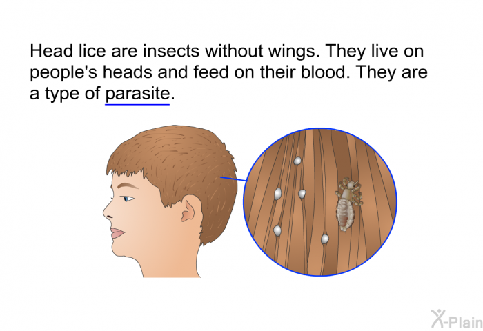 Head lice are insects without wings. They live on people's heads and feed on their blood. They are a type of parasite.