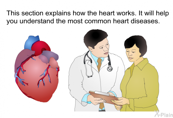 This section explains how the heart works. It will help you understand the most common heart diseases.