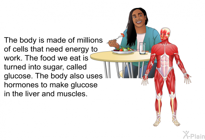 The body is made of millions of cells that need energy to work. The food we eat is turned into sugar, called glucose. The body also uses hormones to make glucose in the liver and muscles.