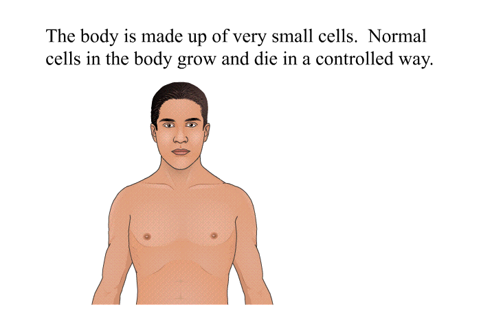 The body is made up of very small cells. Normal cells in the body grow and die in a controlled way.