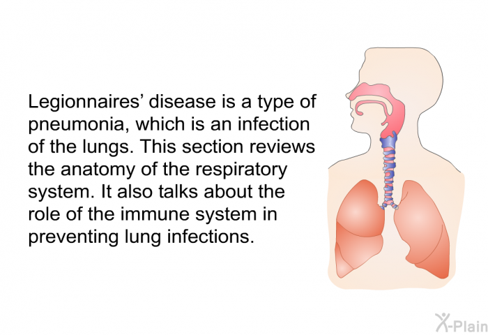 Legionnaires' disease is a type of pneumonia, which is an infection of the lungs. This section reviews the anatomy of the respiratory system. It also talks about the role of the immune system in preventing lung infections.