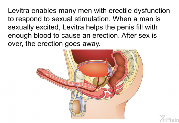 Levitra enables many men with erectile dysfunction to respond to sexual stimulation. When a man is sexually excited, Levitra helps the penis fill with enough blood to cause an erection. After sex is over, the erection goes away.
