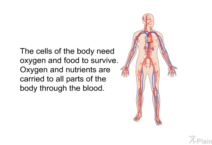 The cells of the body need oxygen and food to survive. Oxygen and nutrients are carried to all parts of the body through the blood.