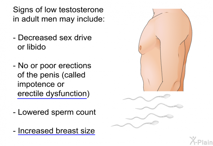 Signs of low testosterone in adult men may include:  Decreased sex drive or libido No or poor erections of the penis (called impotence or erectile dysfunction) Lowered sperm count Increased breast size