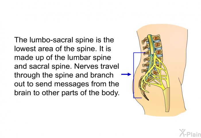 The lumbo-sacral spine is the lowest area of the spine. It is made up of the lumbar spine and sacral spine. Nerves travel through the spine and branch out to send messages from the brain to other parts of the body.