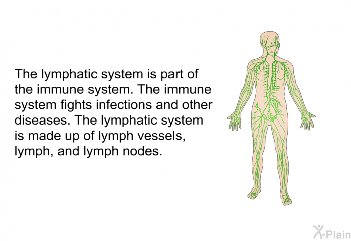 The lymphatic system is part of the immune system. The immune system fights infections and other diseases. The lymphatic system is made up of lymph vessels, lymph, and lymph nodes.