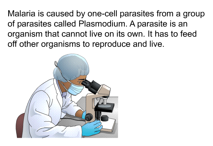 Malaria is caused by one-cell parasites from a group of parasites called <EM CLASS=