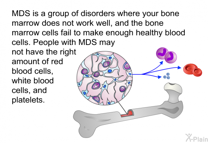 MDS is a group of disorders where your bone marrow does not work well, and the bone marrow cells fail to make enough healthy blood cells. People with MDS may not have the right amount of red blood cells, white blood cells, and platelets.