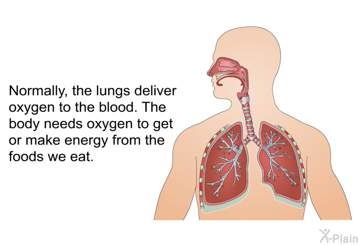 Normally, the lungs deliver oxygen to the blood. The body needs oxygen to get or make energy from the foods we eat.