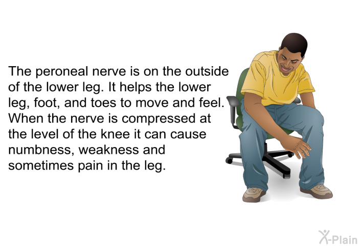 The peroneal nerve is on the outside of the lower leg. It helps the lower leg, foot, and toes to move and feel. When the nerve is compressed at the level of the knee it can cause numbness, weakness and sometimes pain in the leg.