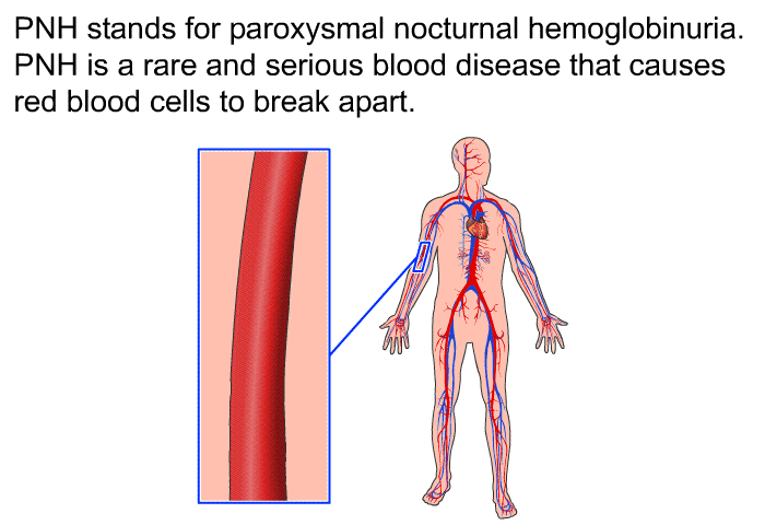 PNH stands for paroxysmal nocturnal hemoglobinuria. PNH is a rare and serious blood disease that causes red blood cells to break apart.