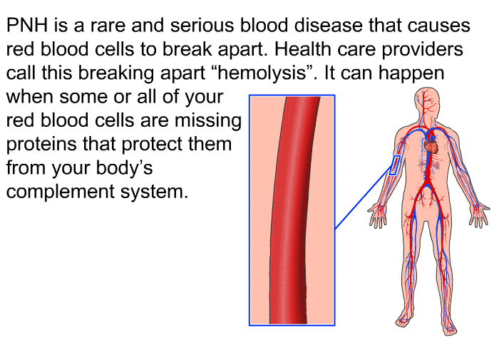 PNH is a rare and serious blood disease that causes red blood cells to break apart. Health care providers call this breaking apart “hemolysis”. It can happen when some or all of your red blood cells are missing proteins that protect them from your body's complement system.