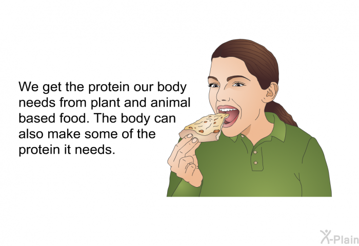 We get the protein our body needs from plant and animal based food. The body can also make some of the protein it needs.