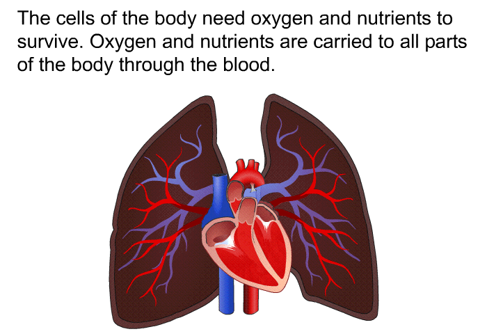 The cells of the body need oxygen and nutrients to survive. Oxygen and nutrients are carried to all parts of the body through the blood.