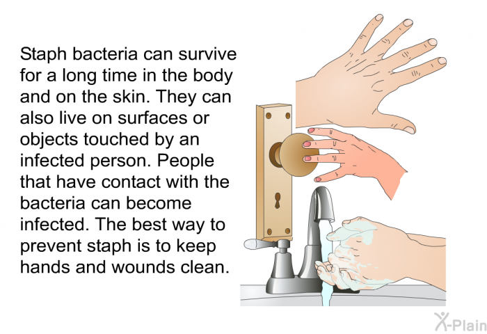 Staph bacteria can survive for a long time in the body and on the skin. They can also live on surfaces or objects touched by an infected person. People that have contact with the bacteria can become infected. The best way to prevent staph is to keep hands and wounds clean.