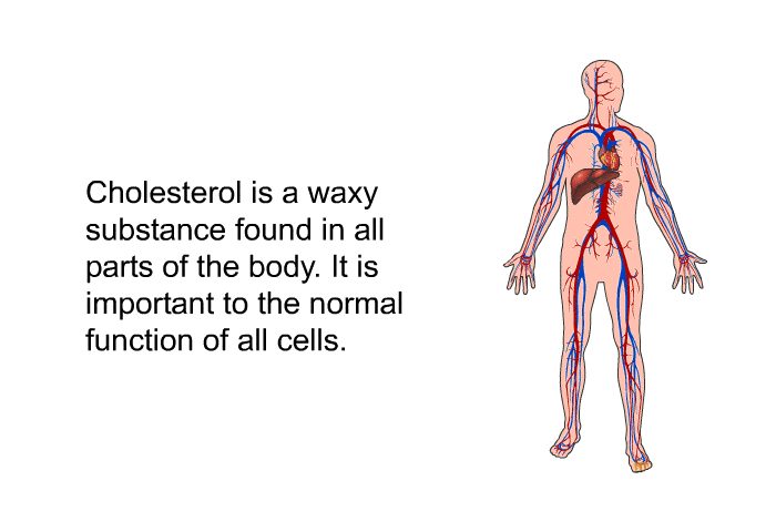 Cholesterol is a waxy substance found in all parts of the body. It is important to the normal function of all cells.