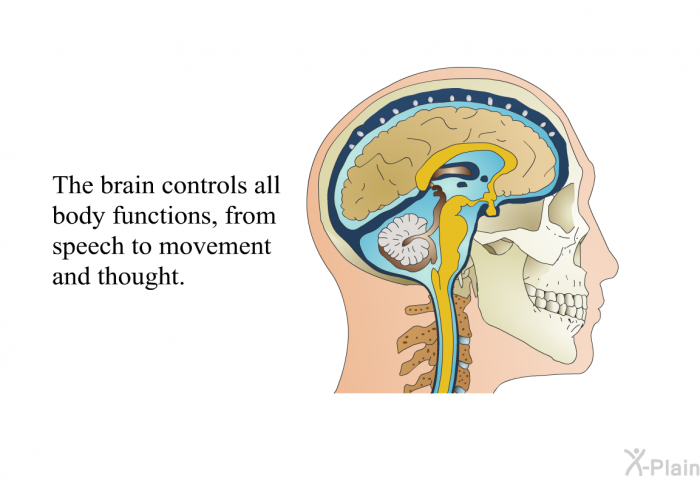 The brain controls all body functions, from speech to movement and thought.