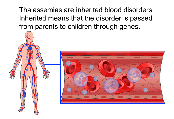 Thalassemias are inherited blood disorders. Inherited means that the disorder is passed from parents to children through genes.