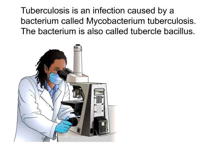 Tuberculosis is an infection caused by a bacterium called Mycobacterium tuberculosis<I>. </I>The bacterium is also called tubercle bacillus.