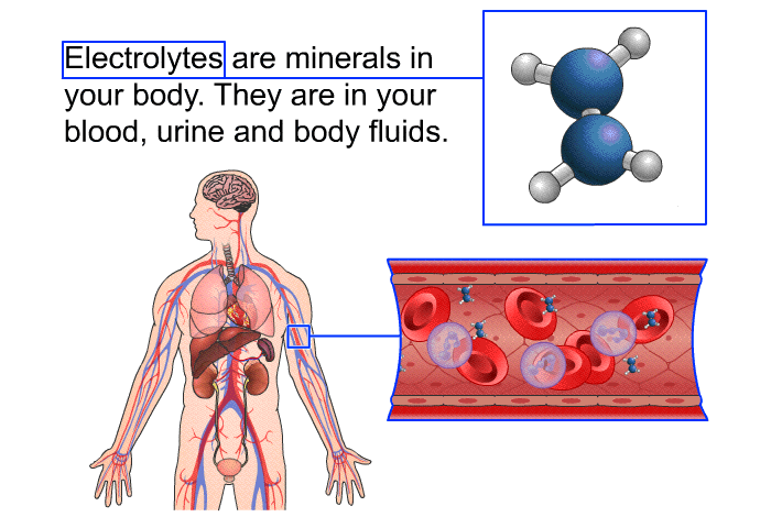 Electrolytes are minerals in your body. They are in your blood, urine and body fluids.