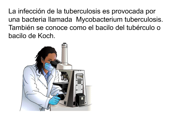 La infeccin de la tuberculosis es provocada por una bacteria llamada Mycobacterium tuberculosis. Tambin se conoce como el bacilo del tubrculo o bacilo de Koch.