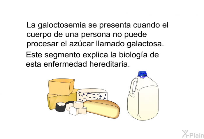La galoctosemia se presenta cuando el cuerpo de una persona no puede procesar el azcar llamado galactosa. Este segmento explica la biologa de esta enfermedad hereditaria.